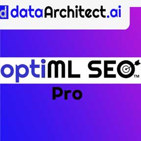 87628 OptiML SEO Pro 6 Months